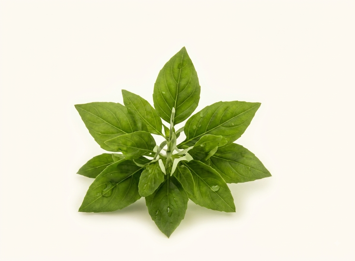 Jatamansi Root