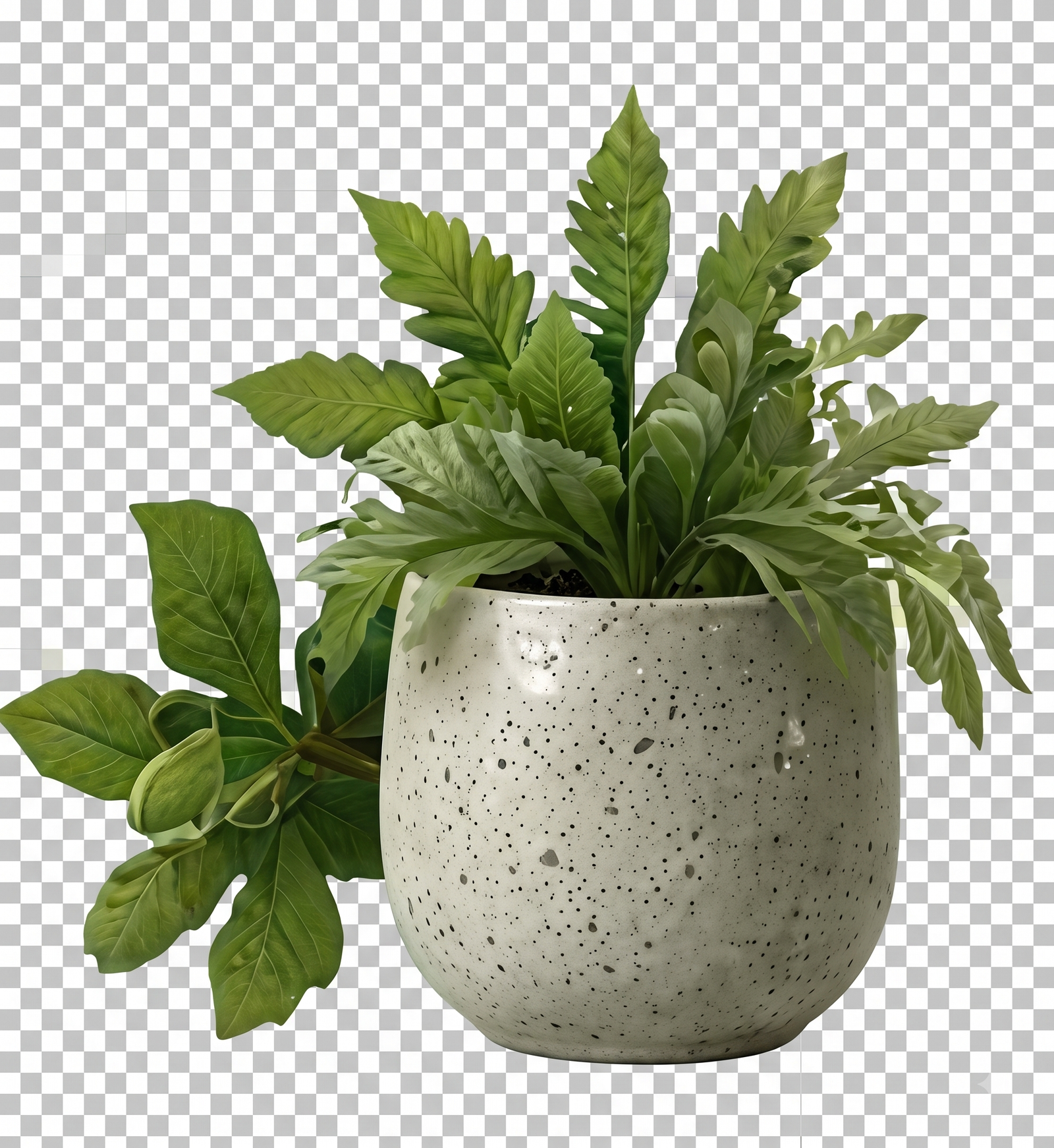 Potted Plant Decor