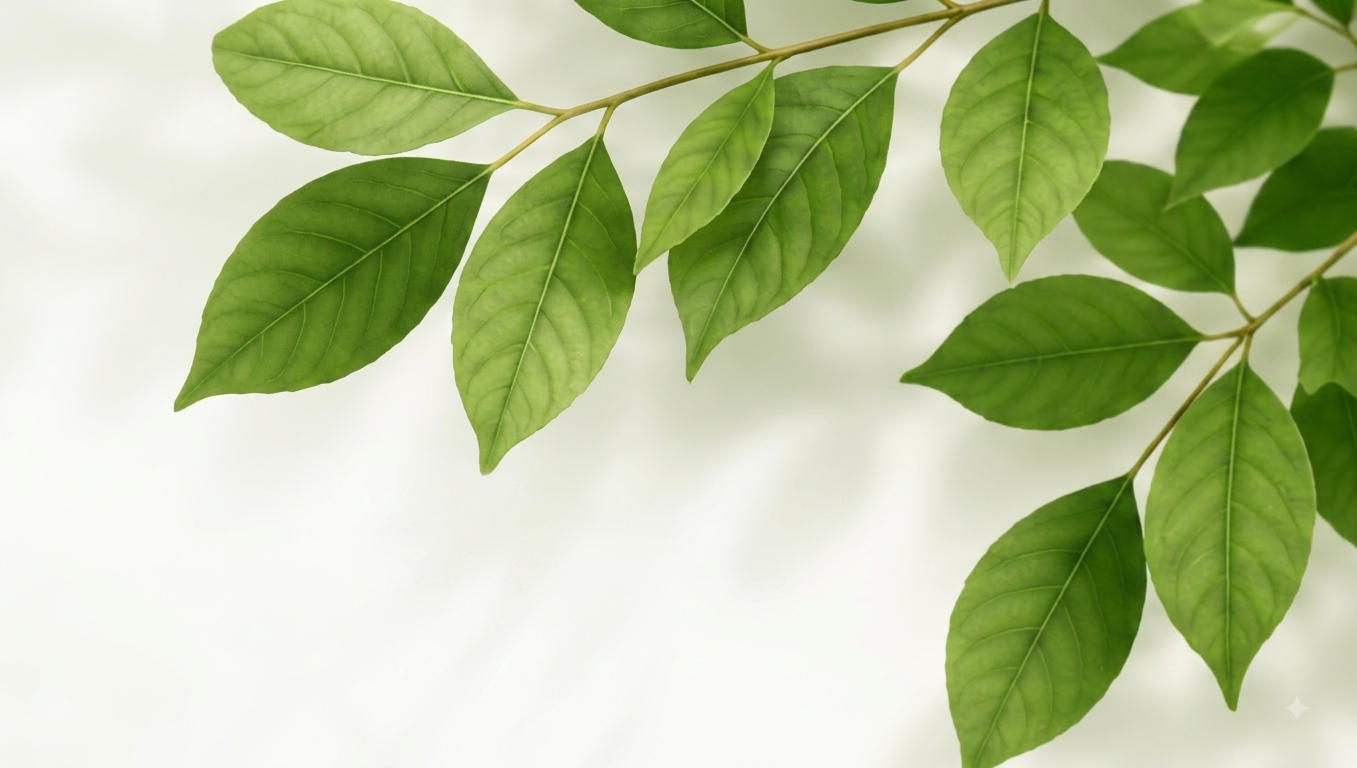 Botanical Leaf Branch Overlay